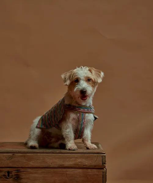 Fetch x Bayo: The Play Poncho